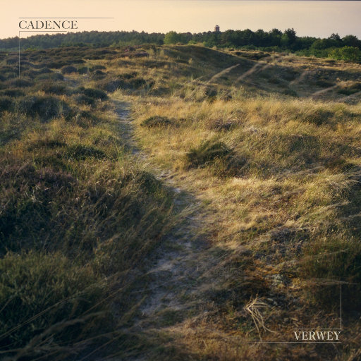 免费在线黄视频
